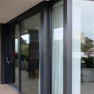 Acoustic Glass Doors